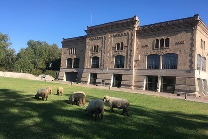 Full-Day Small-Group Mendoza Wine Tasting Tour with Lunch or Dinner