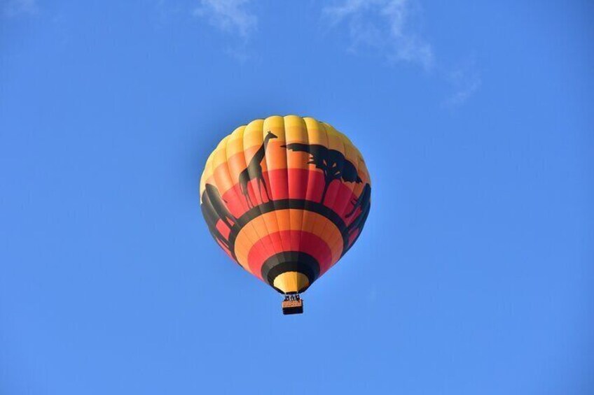 Hot Air Balloon Safari at Pilanesberg National Park