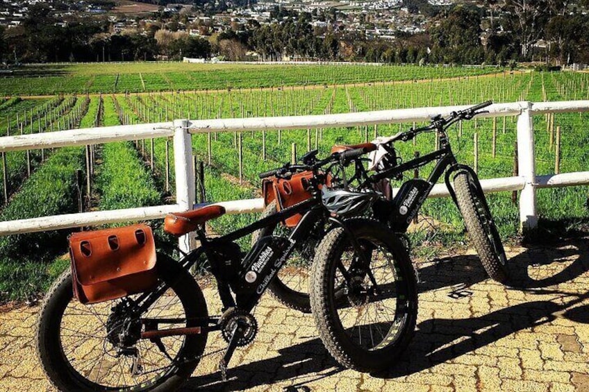 Franschhoek E-Bike Wine Tours