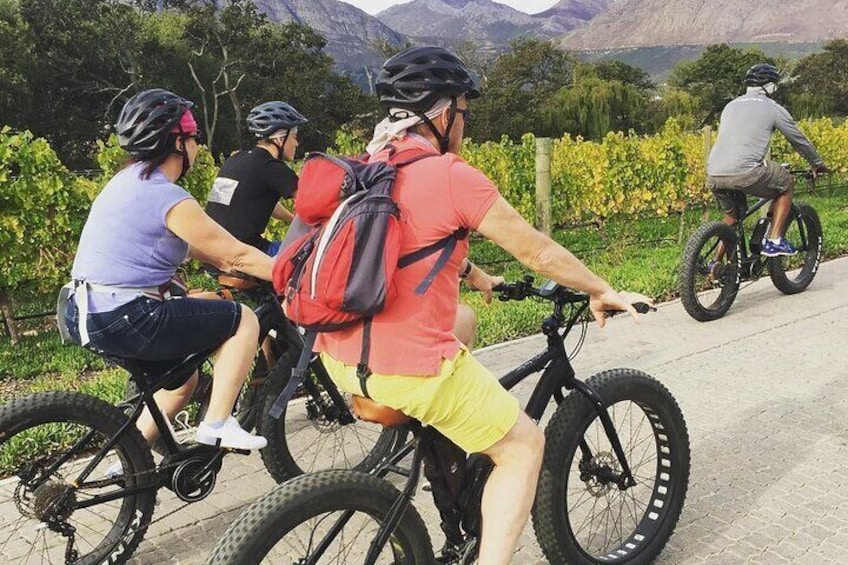 Franschhoek E-Bike Wine Tours