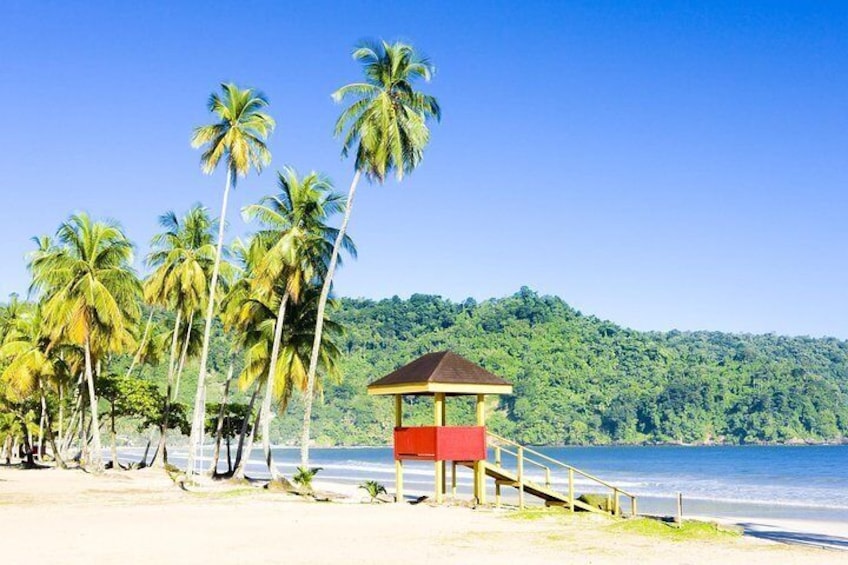 Trinidad Highlights and Scenic Drive Tour