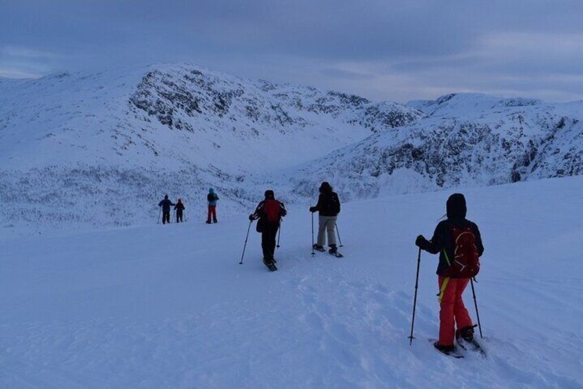 Guided Snowshoe Walk on Tromsoya Island in Tromso