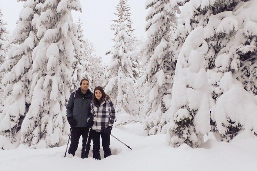 Guided Snowshoe Walk on Tromsoya Island in Tromso