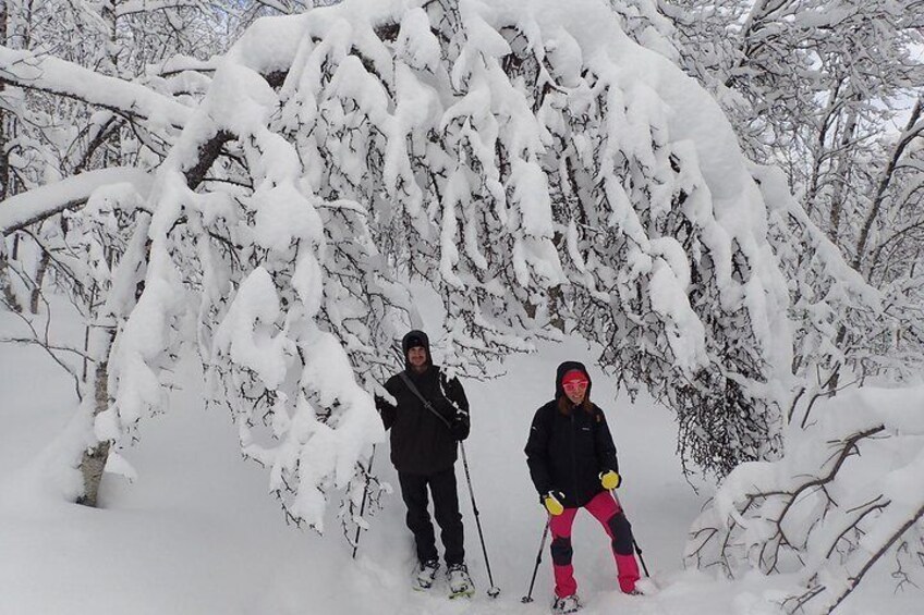 Guided Snowshoe Walk on Tromsoya Island in Tromso