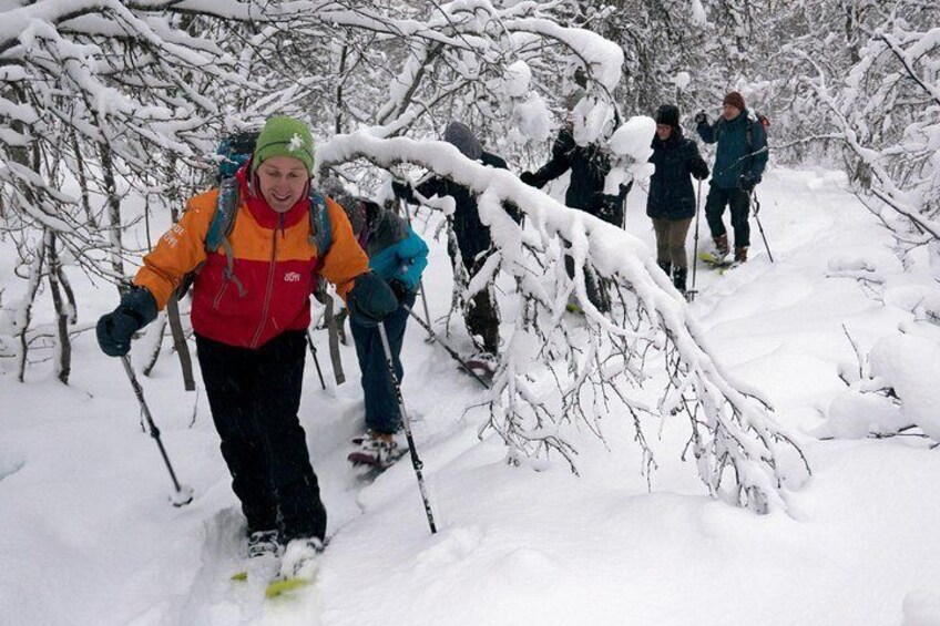 Tromso Outdoor Guided snowshoe walk on Tromsøya