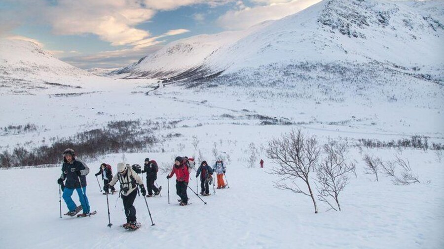 Snowshoe Hill Hike on Kvaløya Tromso Outdoor