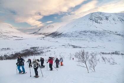 Snowshoe Hill Hike in Tromsø