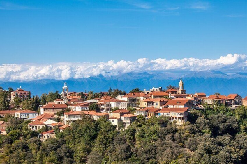 Full Day Private Wine Tasting Tour In Kakheti Region