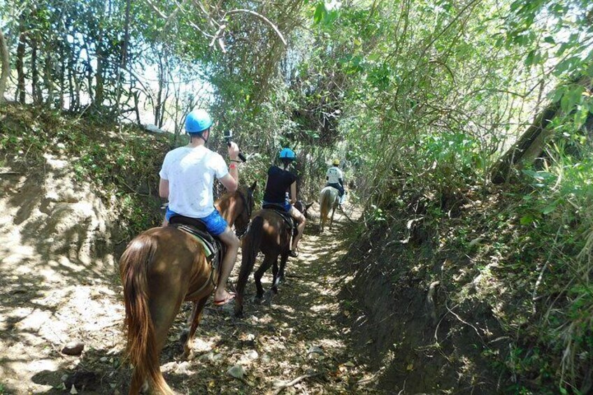 Puerto Plata Horseback Riding