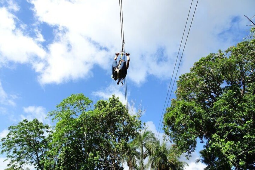 Zip Lines