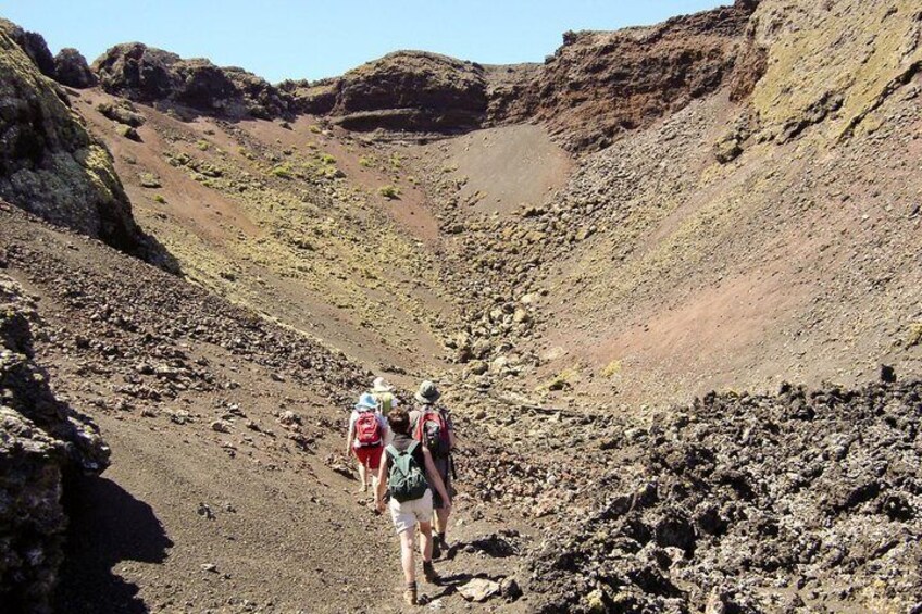 3-Hour Walking Tour in Los Volcanes Nature Reserve