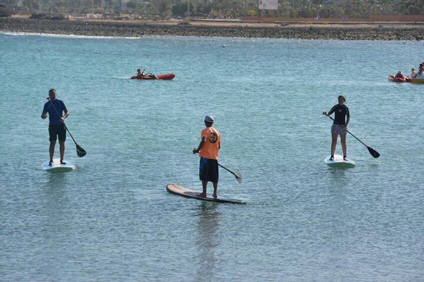 1,5-Hour Beginners Stand Up Paddle Course in Caleta de Fuste