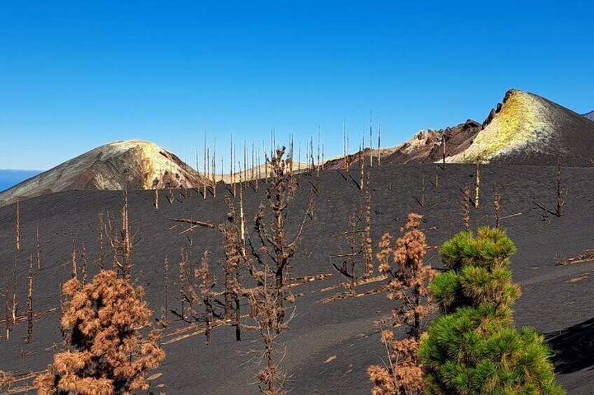 Hiking Route Visit to the New Volcano of La Palma