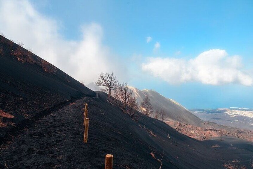 Hiking Route Visit to the New Volcano of La Palma