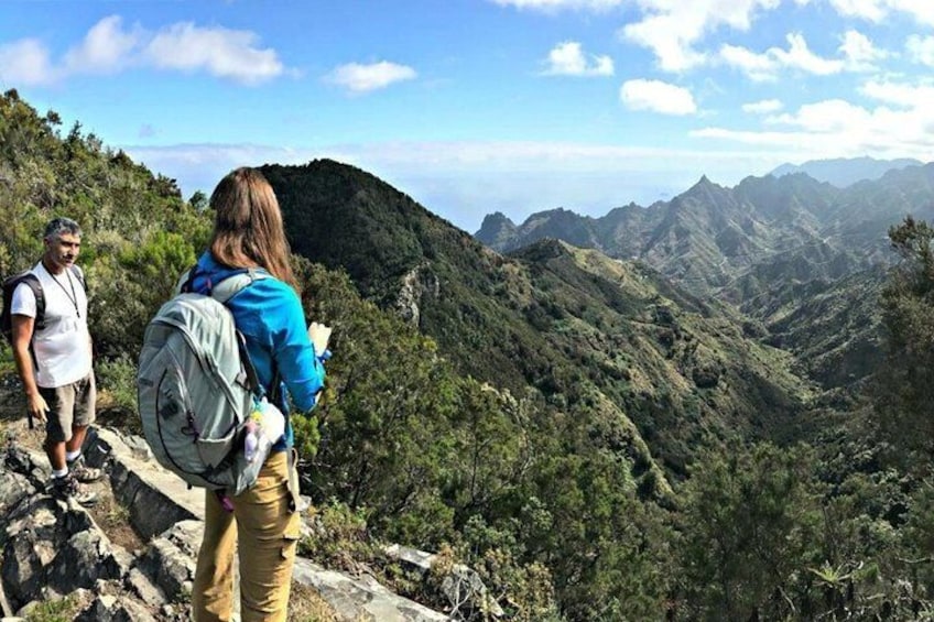 Small-group Guided Hiking Tour in Anaga Rural Park in Tenerife