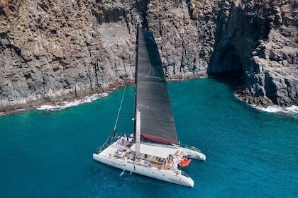 Luxury Catamaran Excursion from Las Galletas - Tenerife