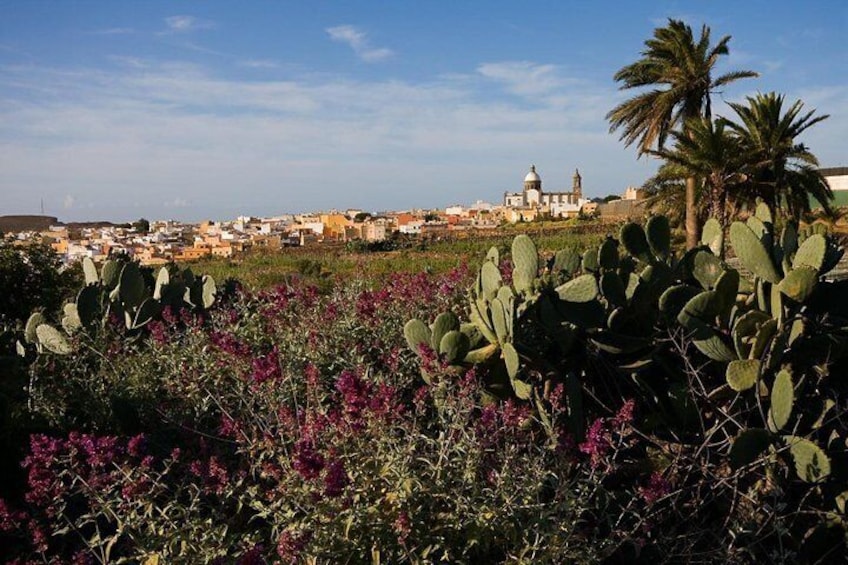 Gran Canaria Historic Tour - Yestarday and Today Premium