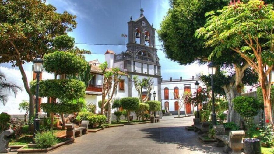 Full-Day Tour Exploring History, Nature and Aloe Vera Farm