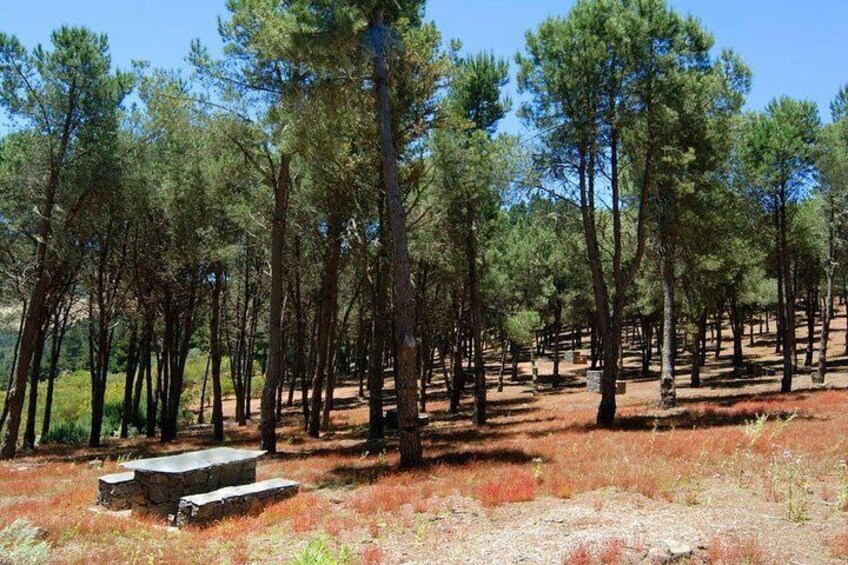 Panorama VIP Tour in Gran Canaria