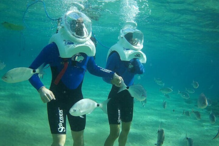 40-minute Lanzarote Sea Trek Diving Experience