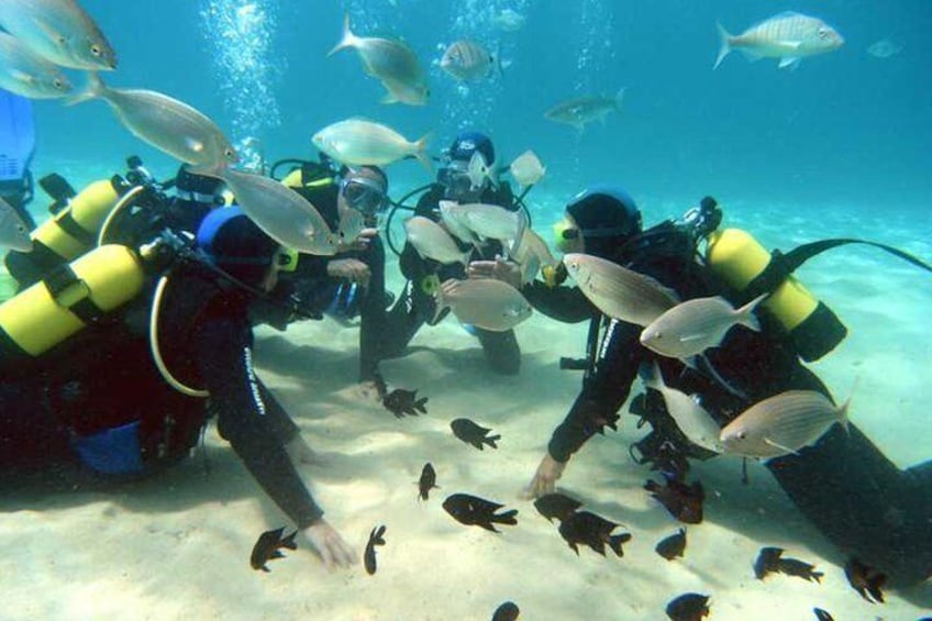 1-hour introduction to scuba diving for children