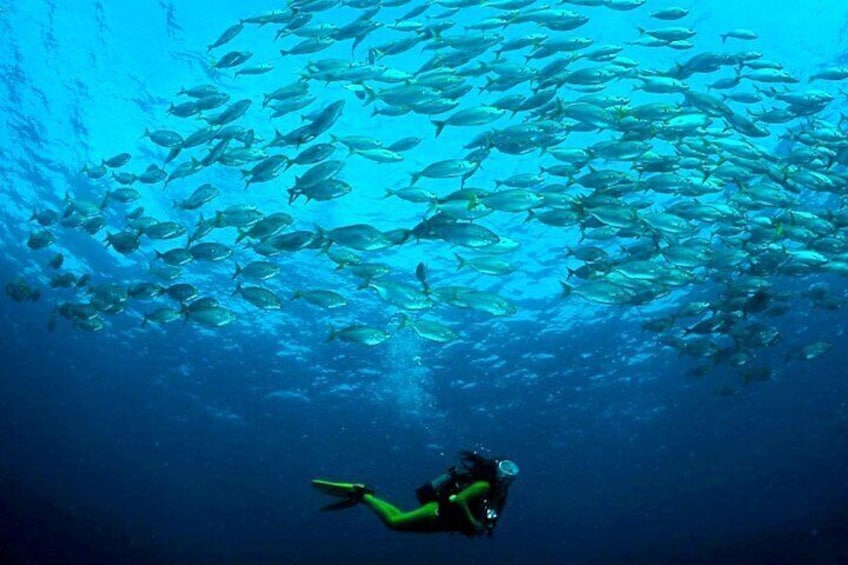 2-hour Scuba Diving Baptism in Costa Teguise, Lanzarote