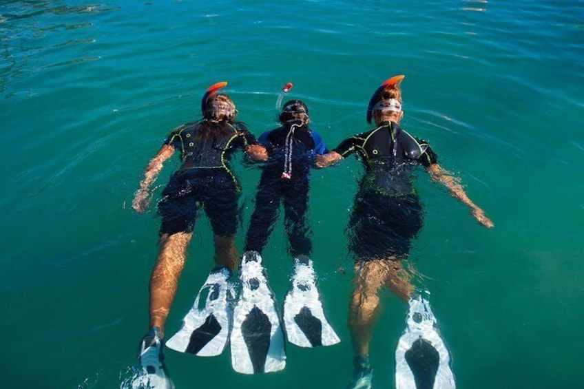 1-hour Snorkelling in Caleta de Fuste