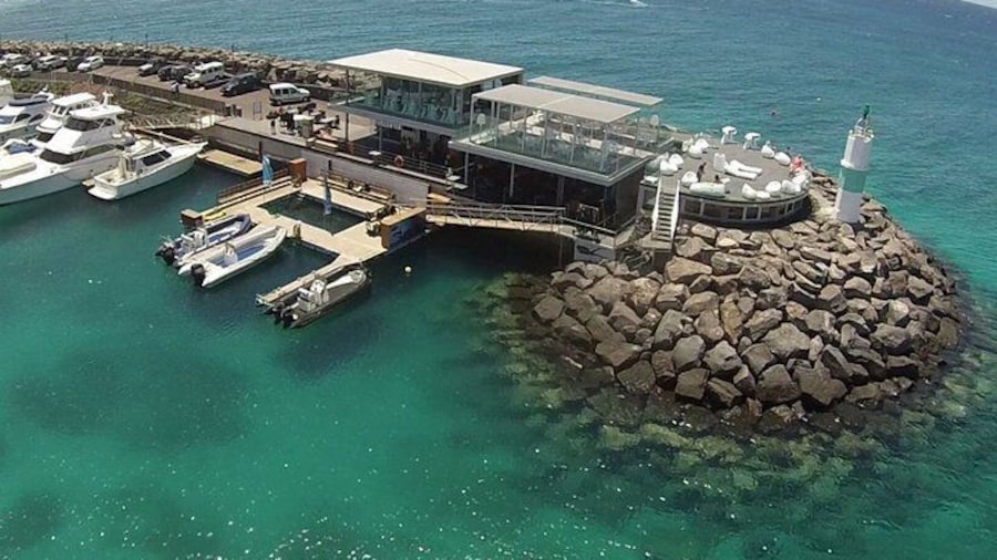 Guided Snorkeling Experience in Caleta de Fuste