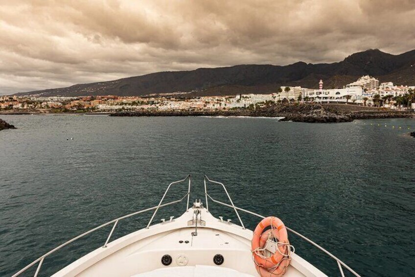 Boat Adventure from Tenerife South