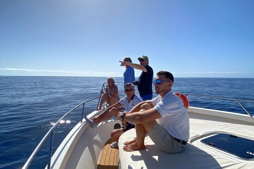 Boat Adventure from Tenerife South