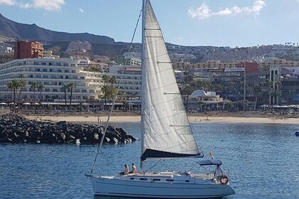 3-Hour Boat Trip from Costa Adeje in Tenerife