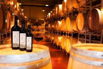Wine tasting - 1 Day Tour