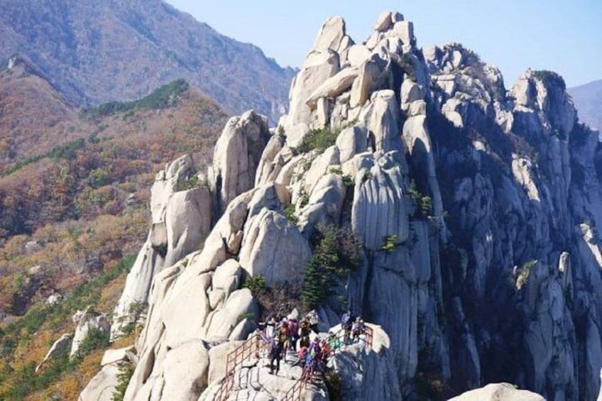 Hiking tour in Seoraksan National Park with Korean authentic chicken soup
