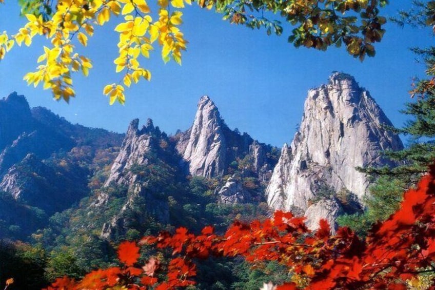 Hiking tour in Seoraksan National Park with Korean authentic chicken soup