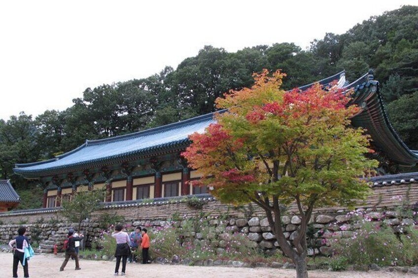 Hiking tour in Seoraksan National Park with Korean authentic chicken soup