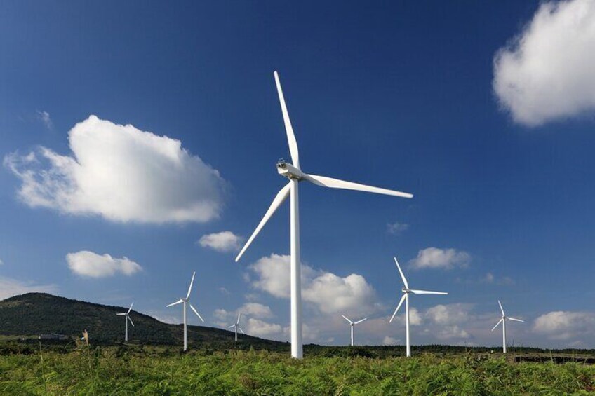 Jeju wind power plants