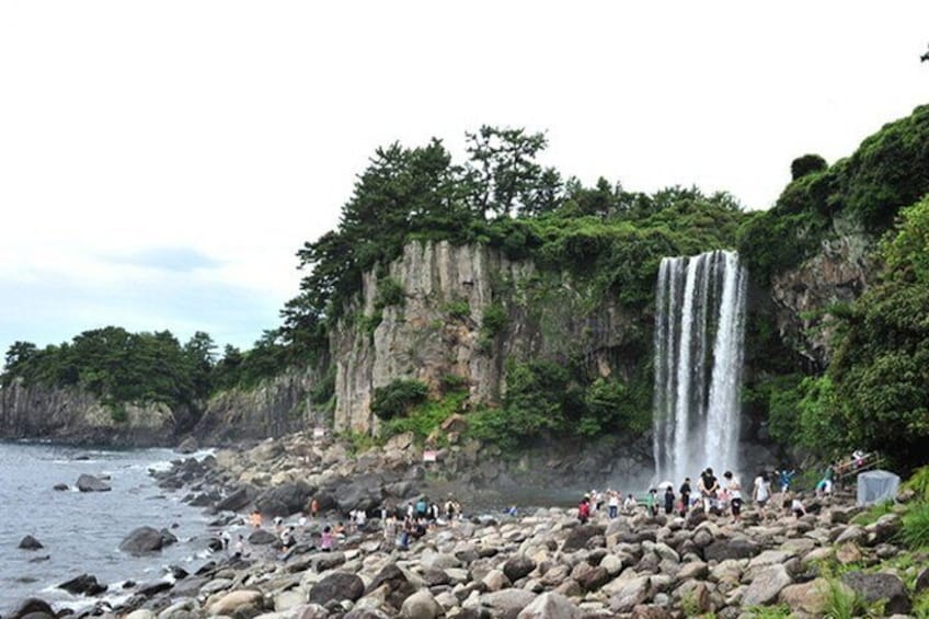 Full-day Customizable Private Essential Jeju Island Tour for South course