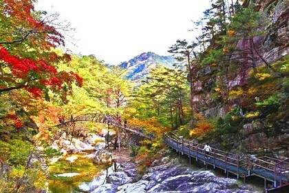 Odaesan National Park hiking day tour: Explore Autumn foliage Korea