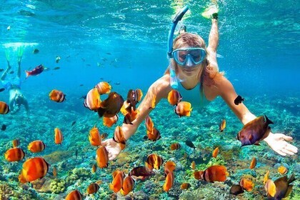 Relaxing Boat Tour With Snorkelling From Alanya
