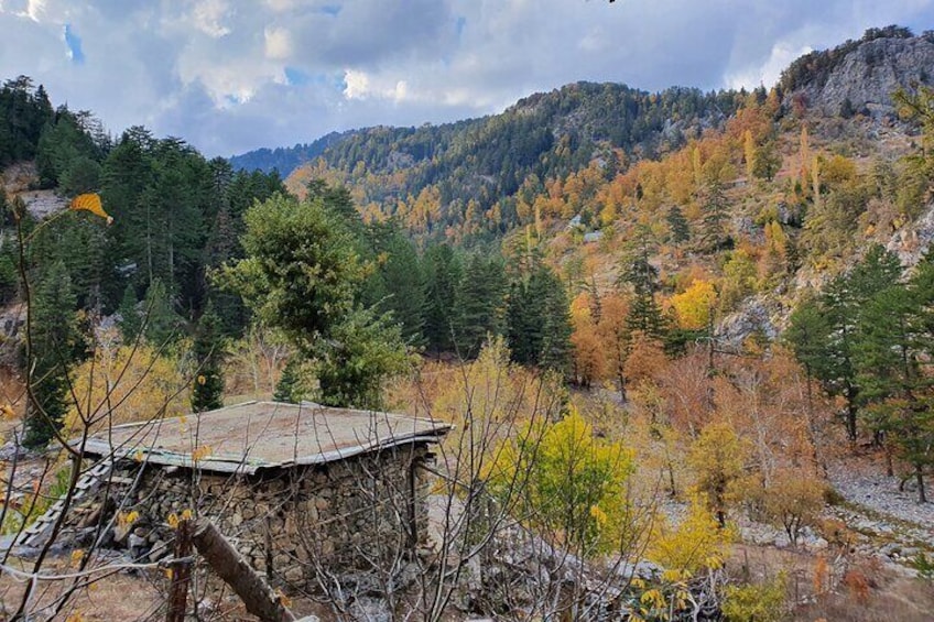 Alanya Jeep Safari At Taurus Mountains & Dimçay River