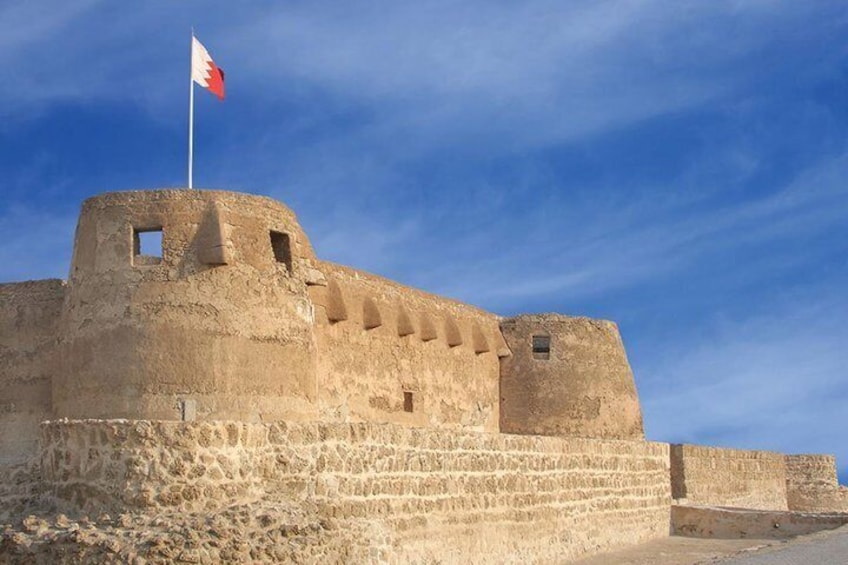 Arad Fort