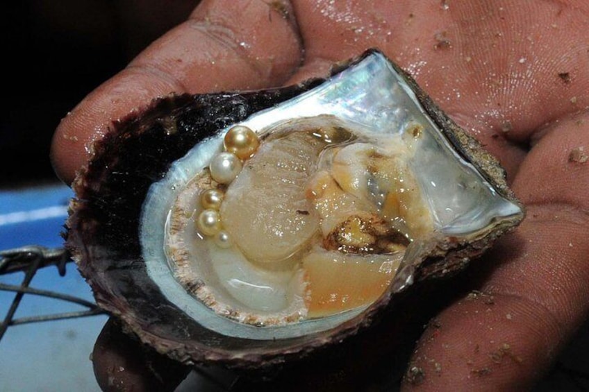 Bahrain Pearls
