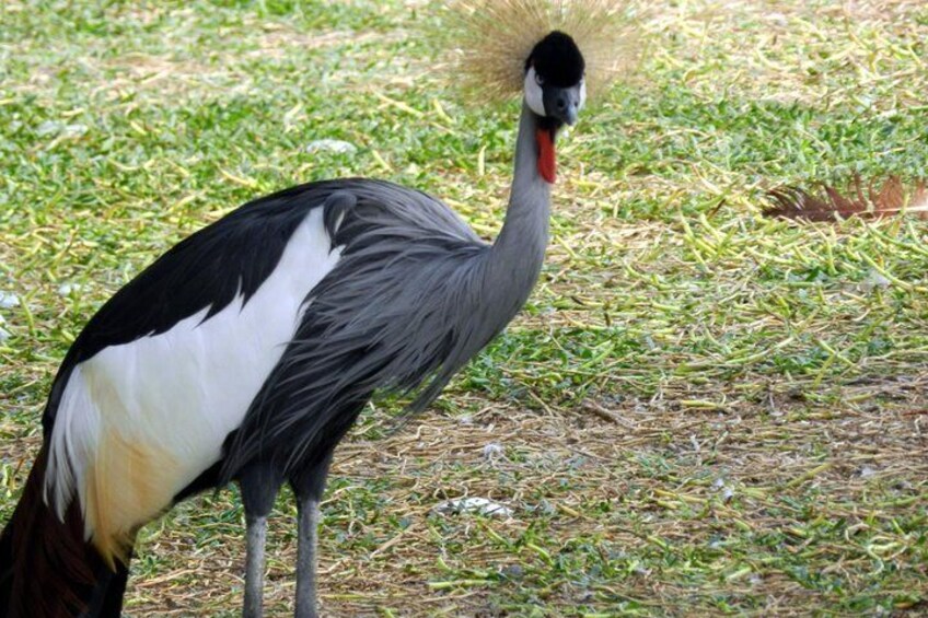 Al Areen Wildlife Park