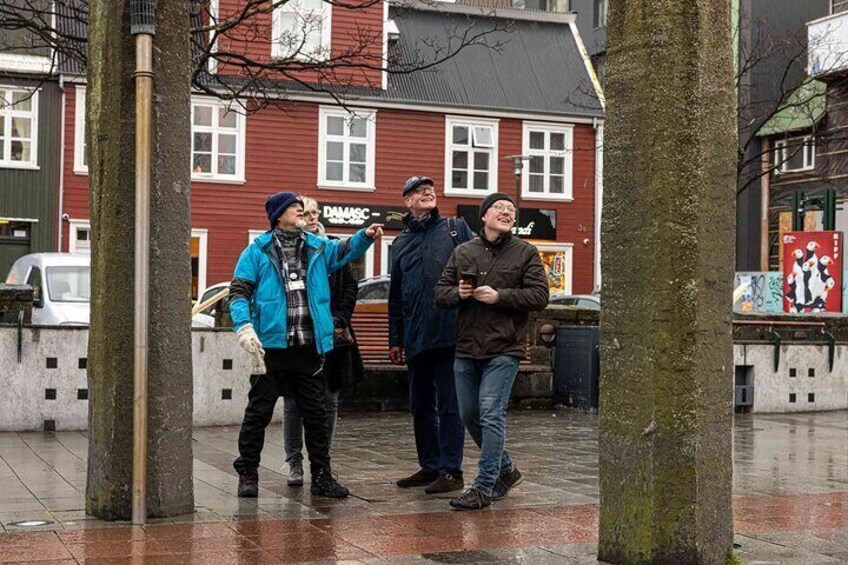Reykjavik Walking Tour - Walk with a Viking