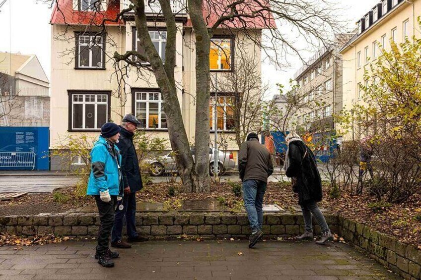 Even our trees have stories to them! Our expert guides will be able to answer every question that may occur during this interesting tour