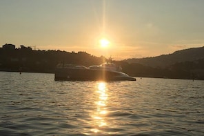 Evening Private Tour on a Solar Powered Boat - From Nice & Monaco