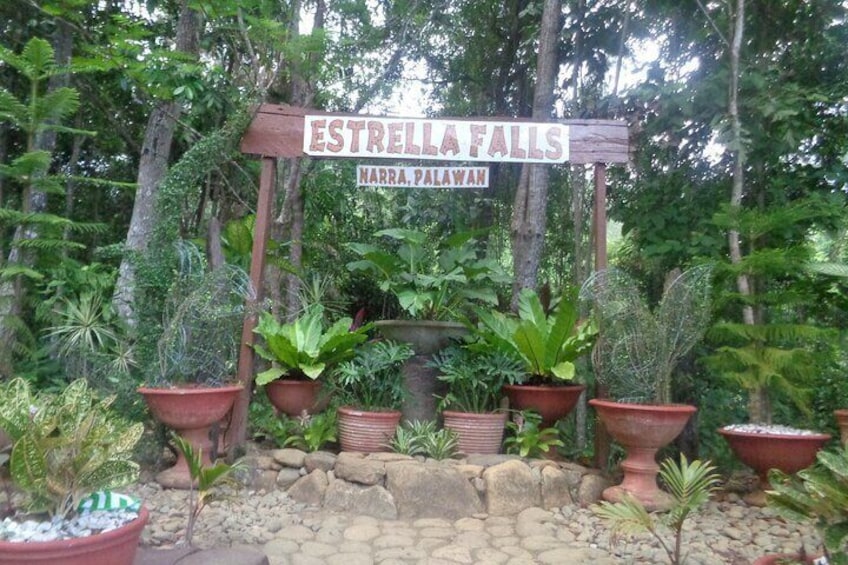 Private Tour: Amazing Estrella Falls from Puerto Princesa