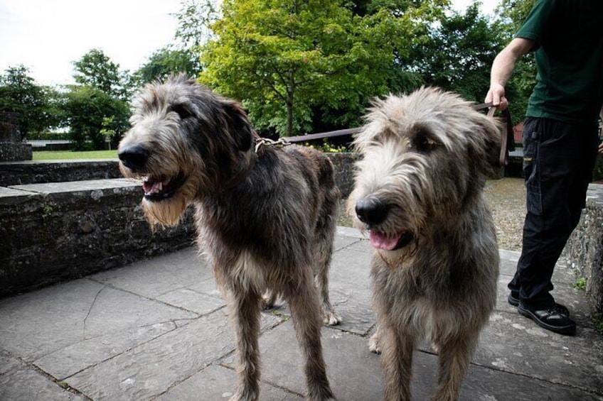 Skip the Line: Bunratty Castle and Folk Park Admission Ticket