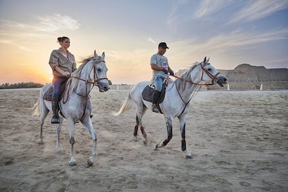 Arabian Sunset Horse Riding & Stable Tour