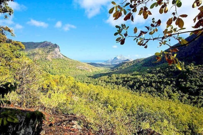 Black River Gorges Forest Hiking, Mauritius - Half Day